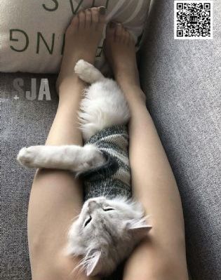 猛鬼屠房电影_乱人伦精品视频在线观看